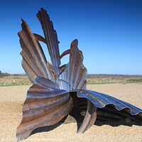 Buy canvas prints of The Scallop Aldeburgh by ROBERT HUTT
