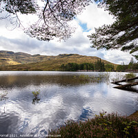 Buy canvas prints of Fallen Trees in the Loch by Roger Worrall