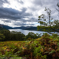Buy canvas prints of Loch Lomond  by Roger Worrall
