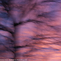 Buy canvas prints of Abstract Sunset and Tree by Jane Osborne