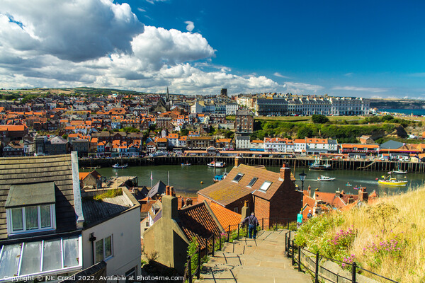 Whitby 199 Steps Picture Board by Nic Croad