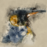 Buy canvas prints of Emperor Penguin by Nic Croad