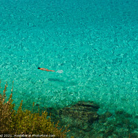 Buy canvas prints of Swimming in the crystal clear sea, Halkidiki, Gree by Nic Croad