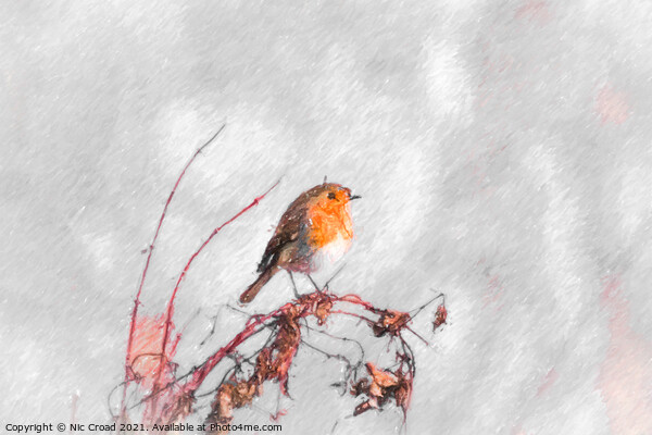 Digital Sketch of a Robin Picture Board by Nic Croad