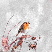 Buy canvas prints of Digital Sketch of a Robin by Nic Croad