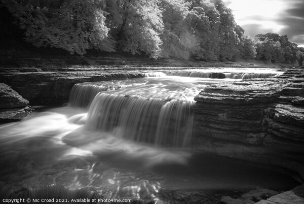 Aysgarth Falls, North Yorkshire Picture Board by Nic Croad