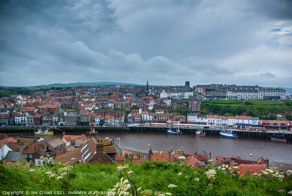 Whitby town and harbour Picture Board by Nic Croad