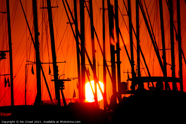 Sunset through silhouetted yacht masts Picture Board by Nic Croad