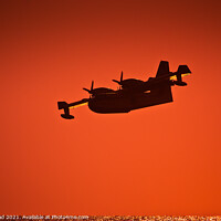 Buy canvas prints of Canadair CL-215 Amphibious Water Bombing Aircraft by Nic Croad