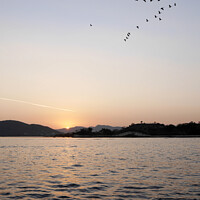 Buy canvas prints of Sunset on Lake Pichola 2 by Simon Peake