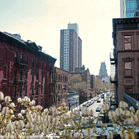 Buy canvas prints of From the High Line by Simon Peake