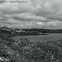 Buy canvas prints of Coverack from Coverack Headland by David Swayne