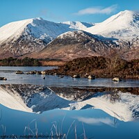Buy canvas prints of Lochan na h-achlaise Rannoch Moor by frances waite