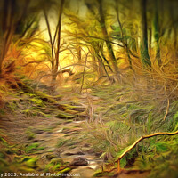 Buy canvas prints of Northern Lands-A Walk in the Forest. by Dave Harnetty