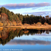 Buy canvas prints of Loch Kildary-Ross-shire,Scotland. by Dave Harnetty