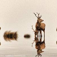 Buy canvas prints of Deer on the Water by Dave Harnetty