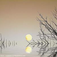 Buy canvas prints of A Moon on the Water by Dave Harnetty