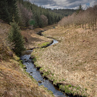 Buy canvas prints of A river in the Ae forest  by christian maltby