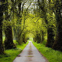 Buy canvas prints of Plainake  road Dumfries by christian maltby