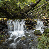 Buy canvas prints of a waterfall in Dumfries in the village of Penpont by christian maltby