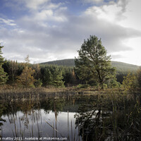 Buy canvas prints of Capenoch Loch in the village of Penpont Dumfries by christian maltby