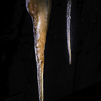 Buy canvas prints of Rusty Icicle  by christian maltby