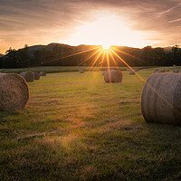 Buy canvas prints of Make hay while the sunshine's by christian maltby