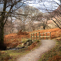 Buy canvas prints of Lake district paths and walks  by christian maltby