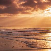 Buy canvas prints of Gulls on the shore at Gwithian Beach, Hayle, Cornw by Frank Farrell