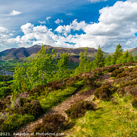 Buy canvas prints of Lake District panorama. by John Henderson