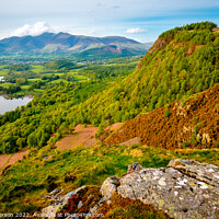 Buy canvas prints of Skiddaw and Derwentwater by John Henderson