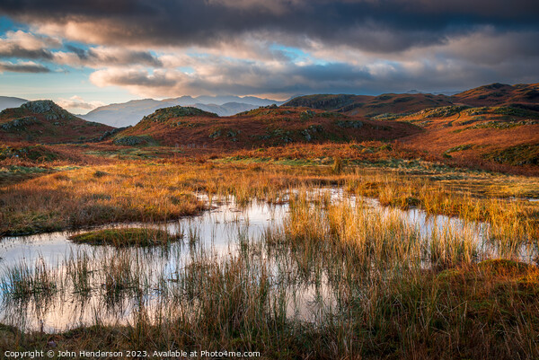 Evening light Loughrigg Fell  Picture Board by John Henderson