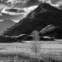 Buy canvas prints of Snowdonia Black and White by John Henderson