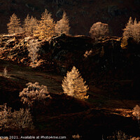 Buy canvas prints of Autumn colours in the Lake District. by John Henderson