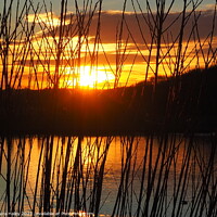 Buy canvas prints of Sunset Over The Lake by Laura Haley