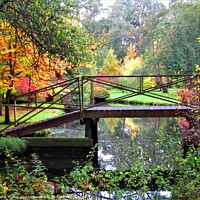 Buy canvas prints of Autumn Colour Landscape Norfolk by Laura Haley
