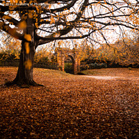Buy canvas prints of Sandringham at Autumn by Carl Howell