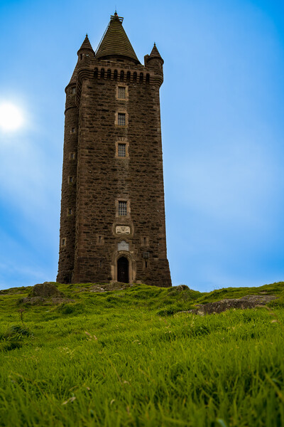 Scrabo Tower Picture Board by Norbert David