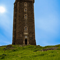 Buy canvas prints of Scrabo Tower by Norbert David