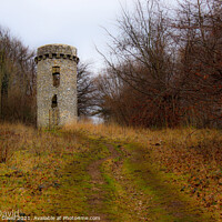 Buy canvas prints of The tower by Norbert David