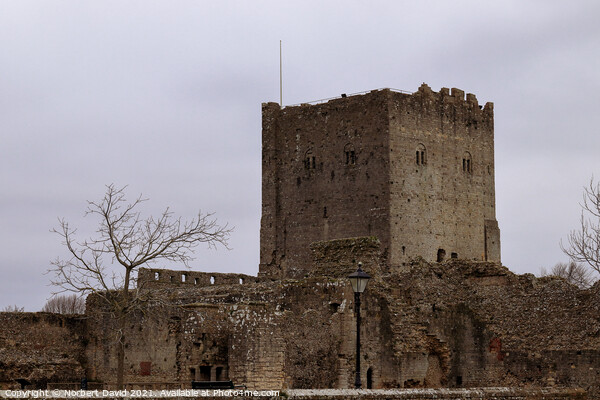 Portchester Castle's Timeless Grandeur Picture Board by Norbert David
