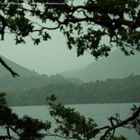 Buy canvas prints of Peering through the trees at Derwent Water and mountains by Jules D Truman