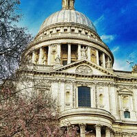 Buy canvas prints of St. Paul's Cathedral in springtime by Jules D Truman