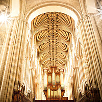 Buy canvas prints of Norwich Cathedral Interior by Jules D Truman