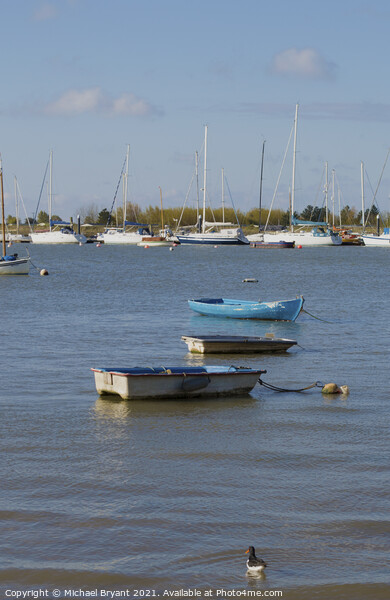Serenity at Brightlingsea Harbour Picture Board by Michael bryant Tiptopimage