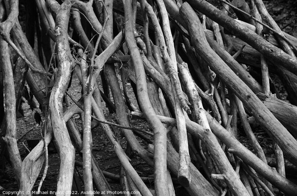 Stacked branches  Picture Board by Michael bryant Tiptopimage