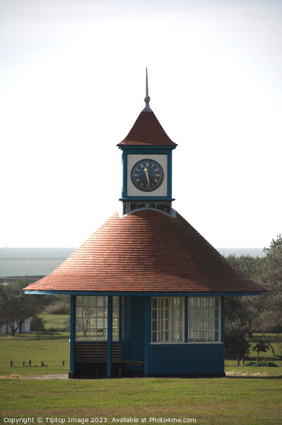 Fronting on sea clock tower Picture Board by Michael bryant Tiptopimage