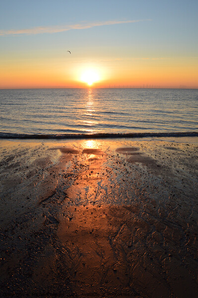 Clacton sunrise Picture Board by Michael bryant Tiptopimage