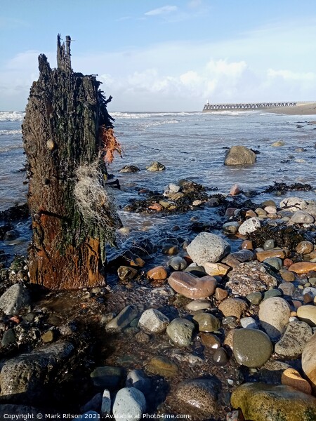 Old Groyne stump . Picture Board by Mark Ritson