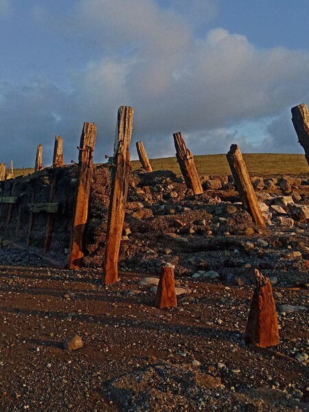 The Old Groyne . Picture Board by Mark Ritson